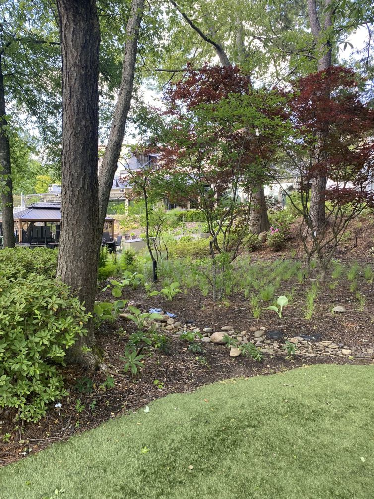 Photo Apr 30 2023, 4 30 30 PM